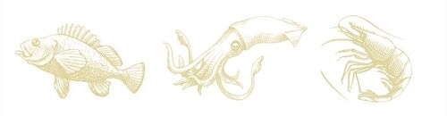 seafood-illustrations