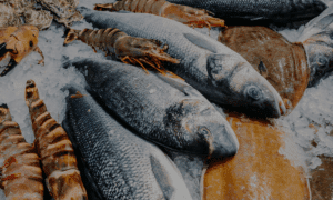 Sustainable seafood at Jenkins & Son Fishmongers in UK, 2021
